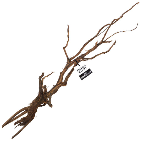 Bioscape Amber/Gold Spider Roots Medium 20 - 30cm