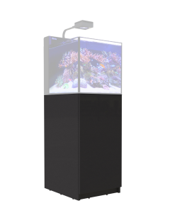 Red Sea Max Nano Peninsula Stand Black