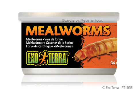 Exo Terra Mealworms 34gm 1.2oz