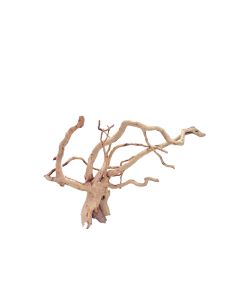 Spider Wood Large