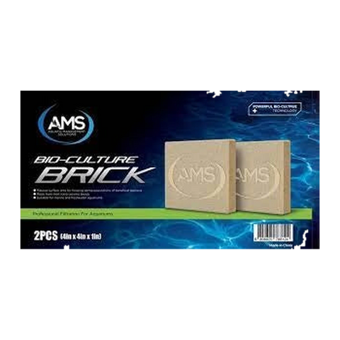 AMS Bio Culture Brick- 2 Pack (4in x 4in x 1in)