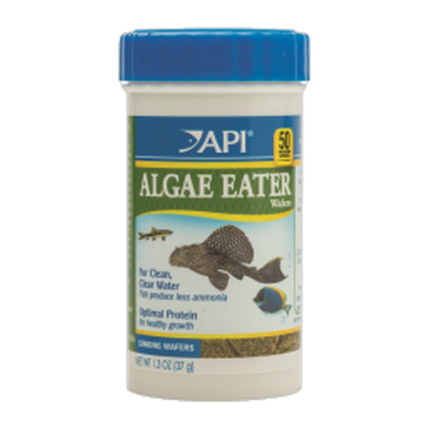 API Algae Eater Wafers 37gm