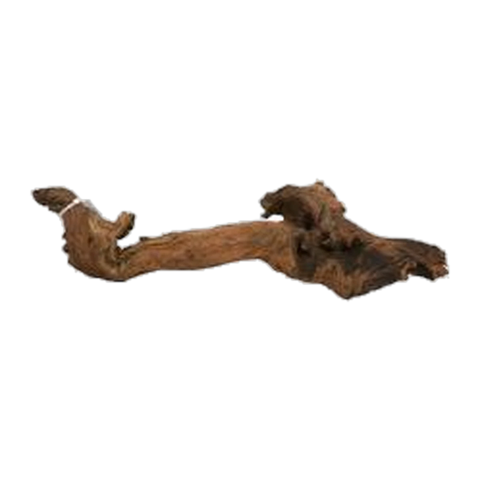 Bioscape Amazon Wood M 45 - 60cm