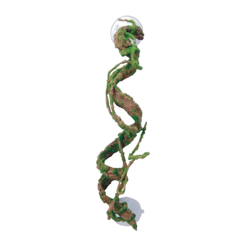 Eco Tech Corkscrew Vine 40cm