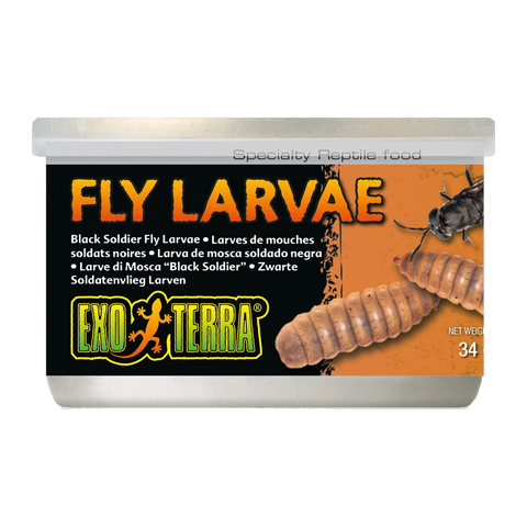 Exo Terra Black Solder Fly Larvae 34gm
