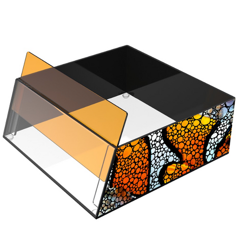 Flipper 8" Top Down Viewer with Removable Orange Filter - Clownfish Design