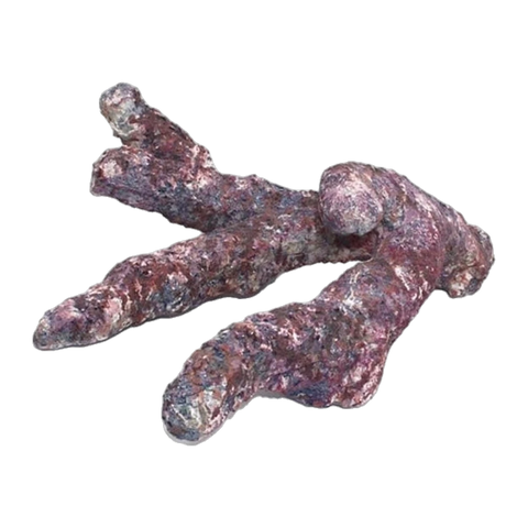 Java Reef Branching Reef Rock Per Kg