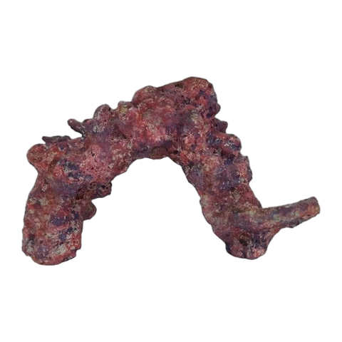 Java Reef Reef Arches Per Kg