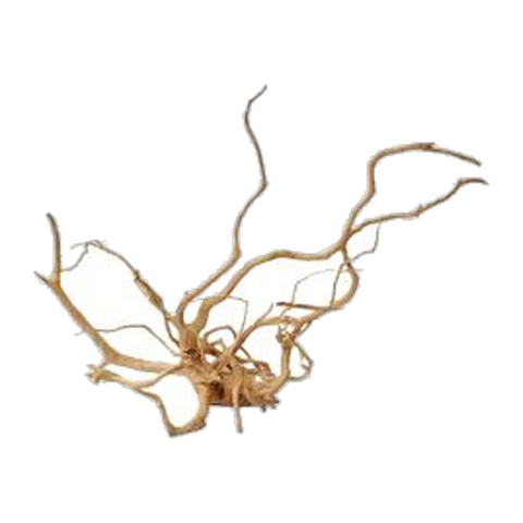 Spider Wood XLarge