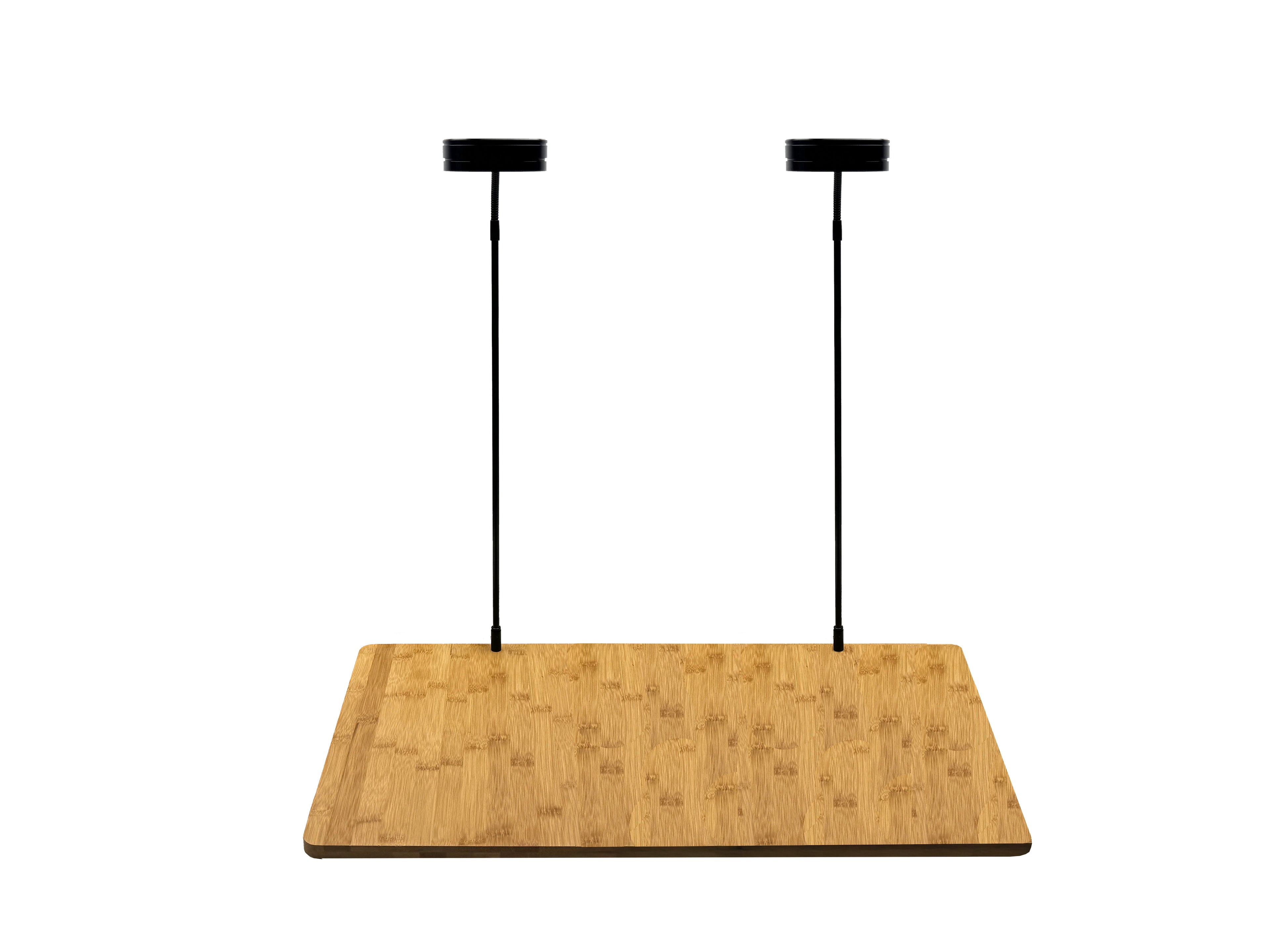 Bioscape LED Landscape Duel Bamboo Base 9w x 2