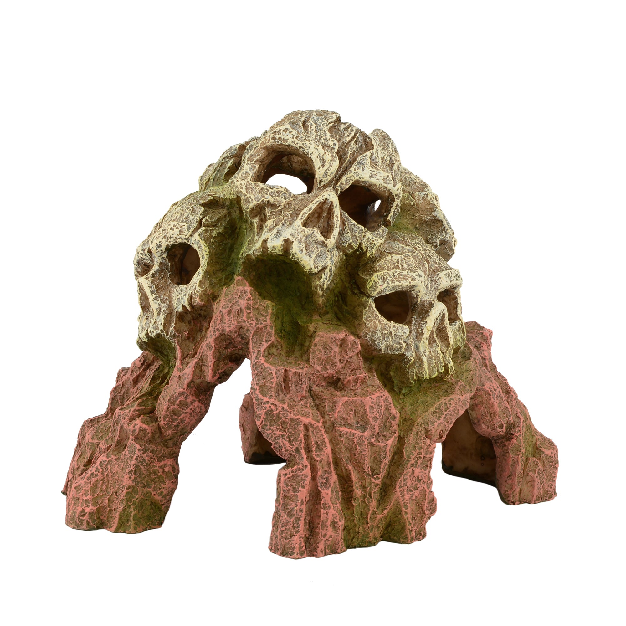 Bioscape Tripe Skull Mountain 18 x 14cm