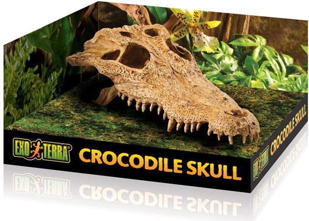 Exo Terra Crocodile Skull Medium