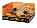 Exo Terra Buffalo Skull Medium