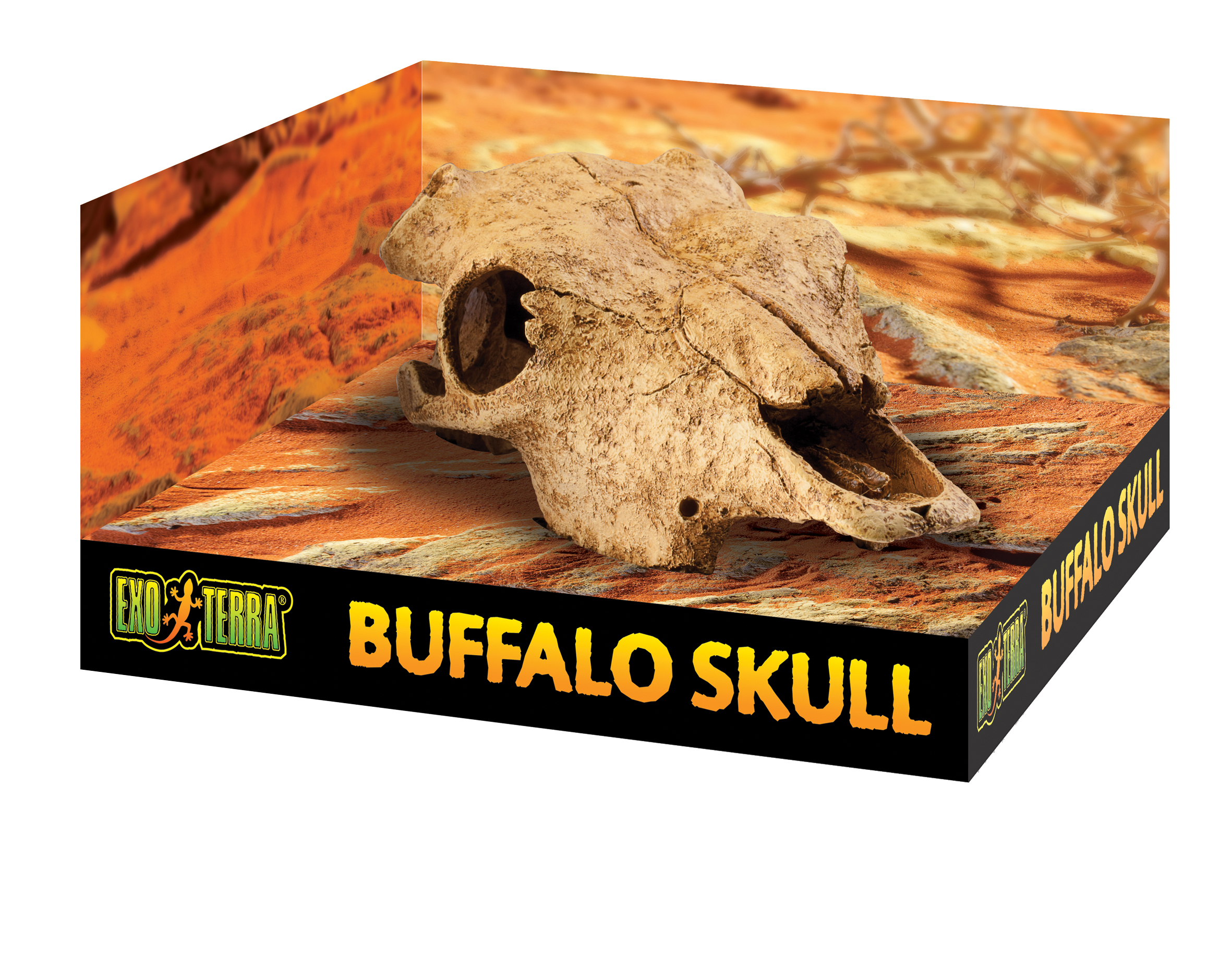 Exo Terra Buffalo Skull Medium