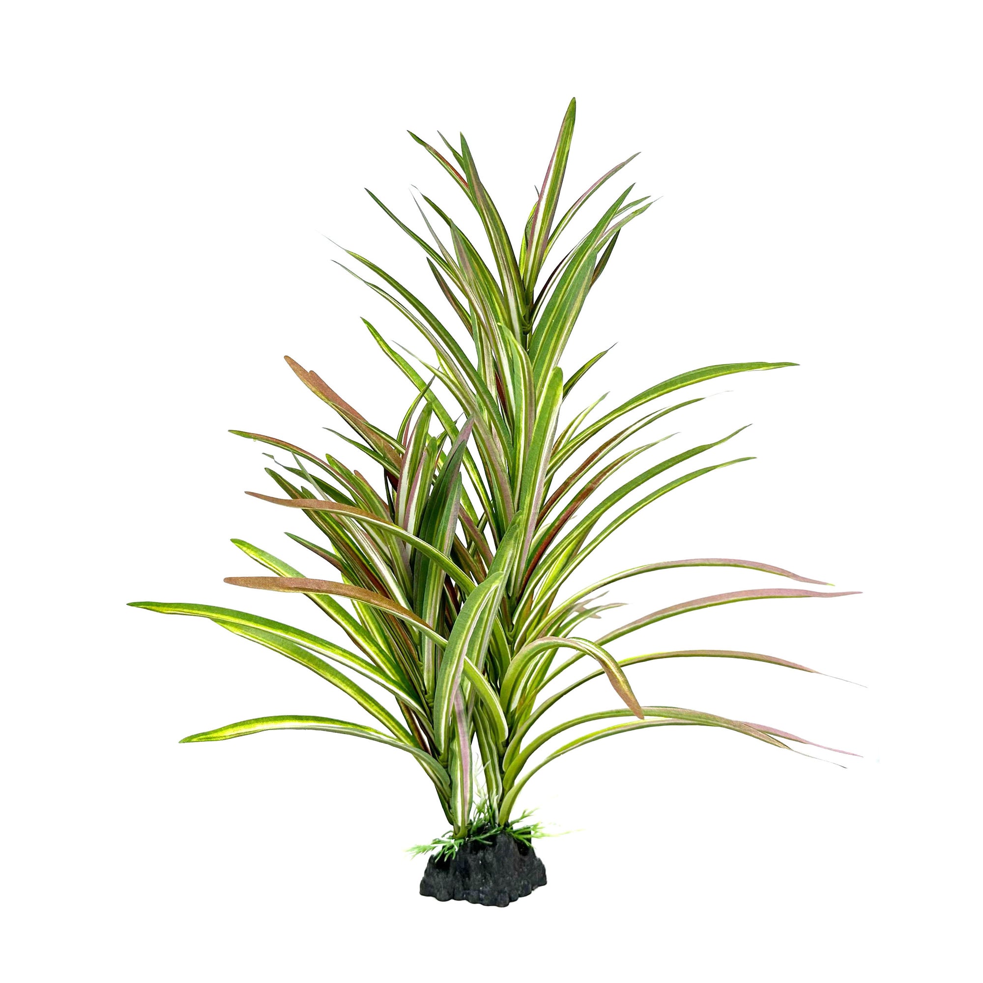 Upright Spinifex XL 42cm