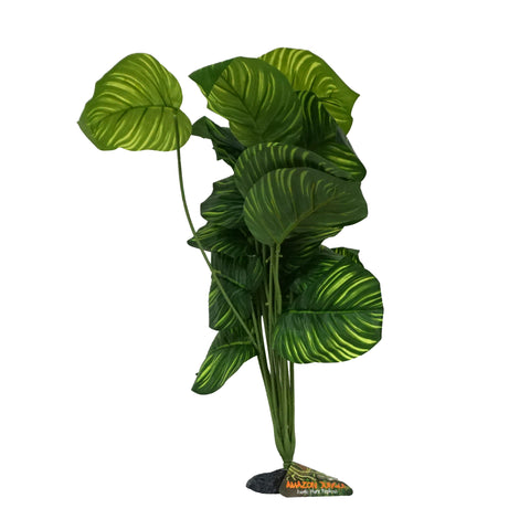 Apple Leaf Plant XL 45-50cm