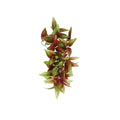 Eco Tech Hanging Radiating Star Plant 35 x 25cm