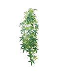 Eco Tech Hanging Albuliton 80cm