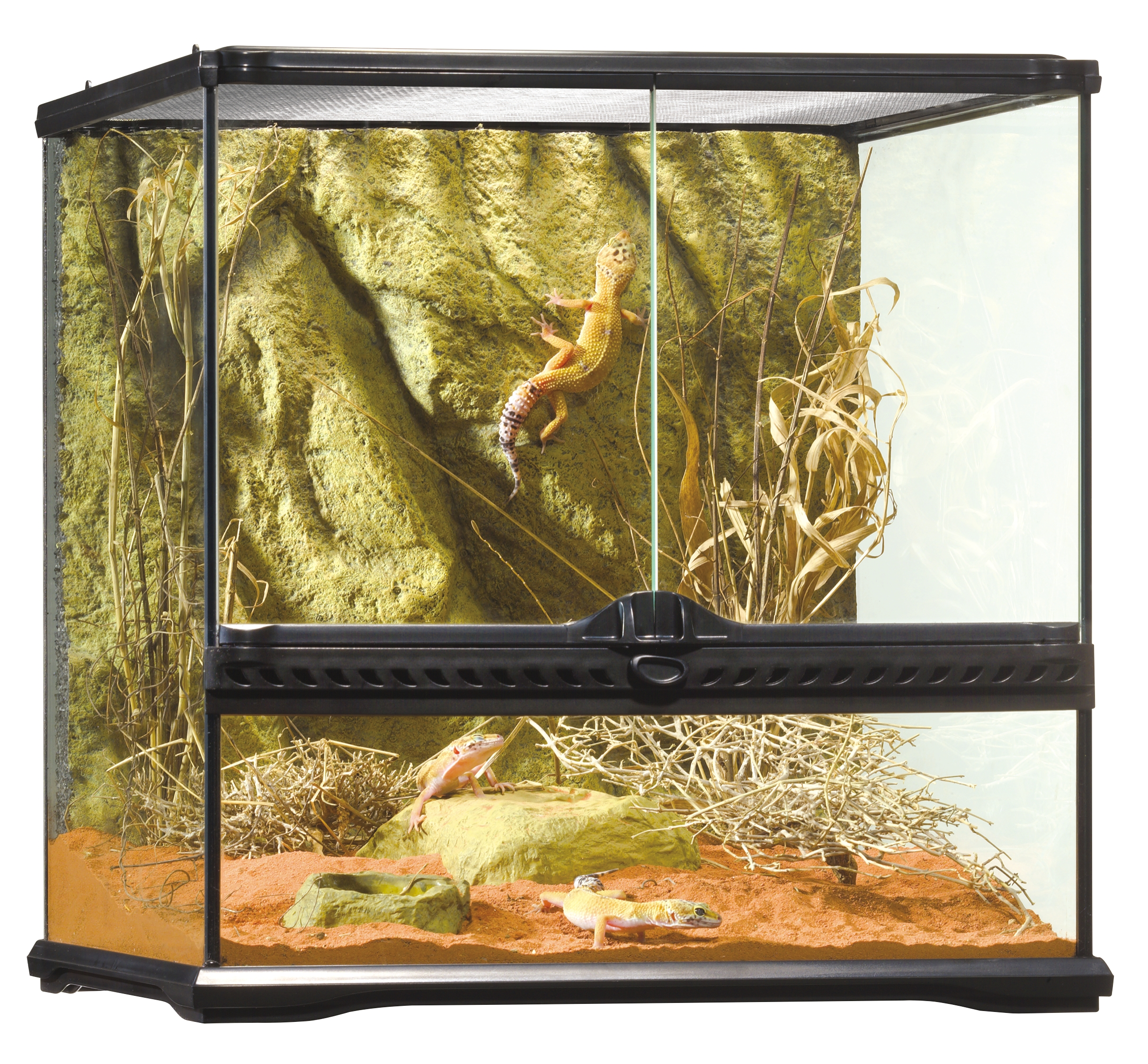 Exo Terra Small Wide Terrarium 45 x 45 x 45cm