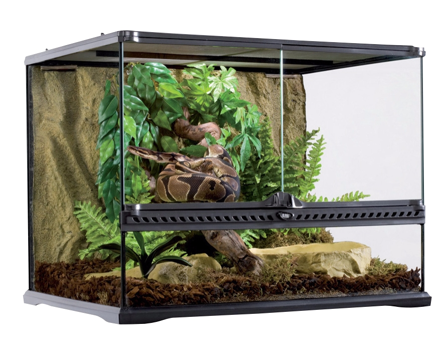 Exo Terra Medium Wide Terrarium 60 x 45 x 45cm