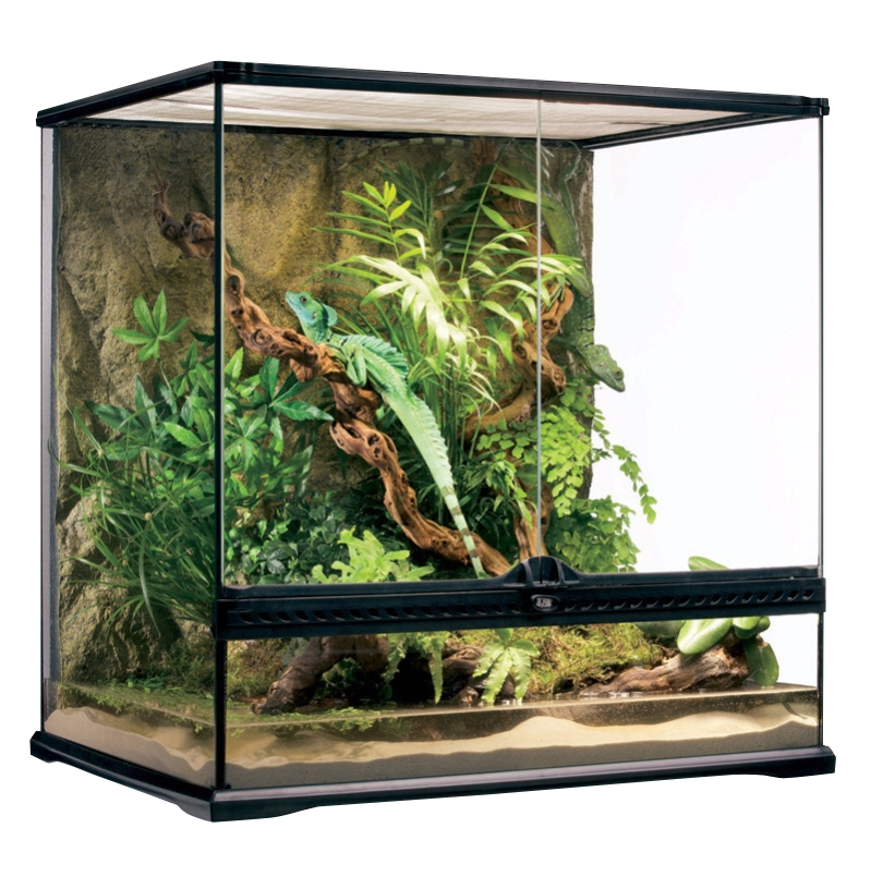 Exo Terra Medium Tall Terrarium 60 x 45 x 60cm