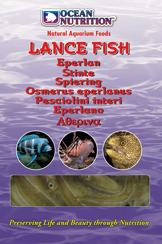 Ocean Nutrition Frozen Lance Fish