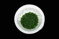 Hemianthus Callitrichoides