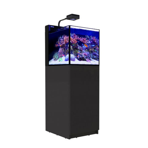 Red Sea Max Nano Peninsula Stand Black