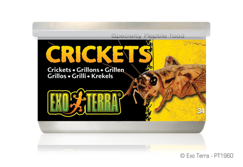Exo Terra Crickets Small 34gm 1.2 oz