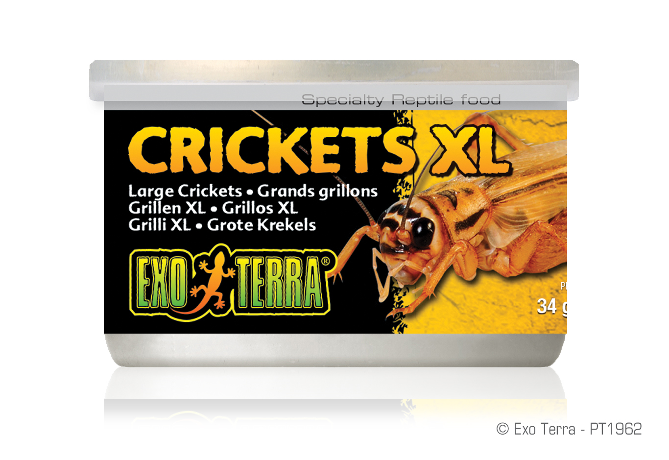 Exo Terra Crickets XLarge 34gm 1.2oz