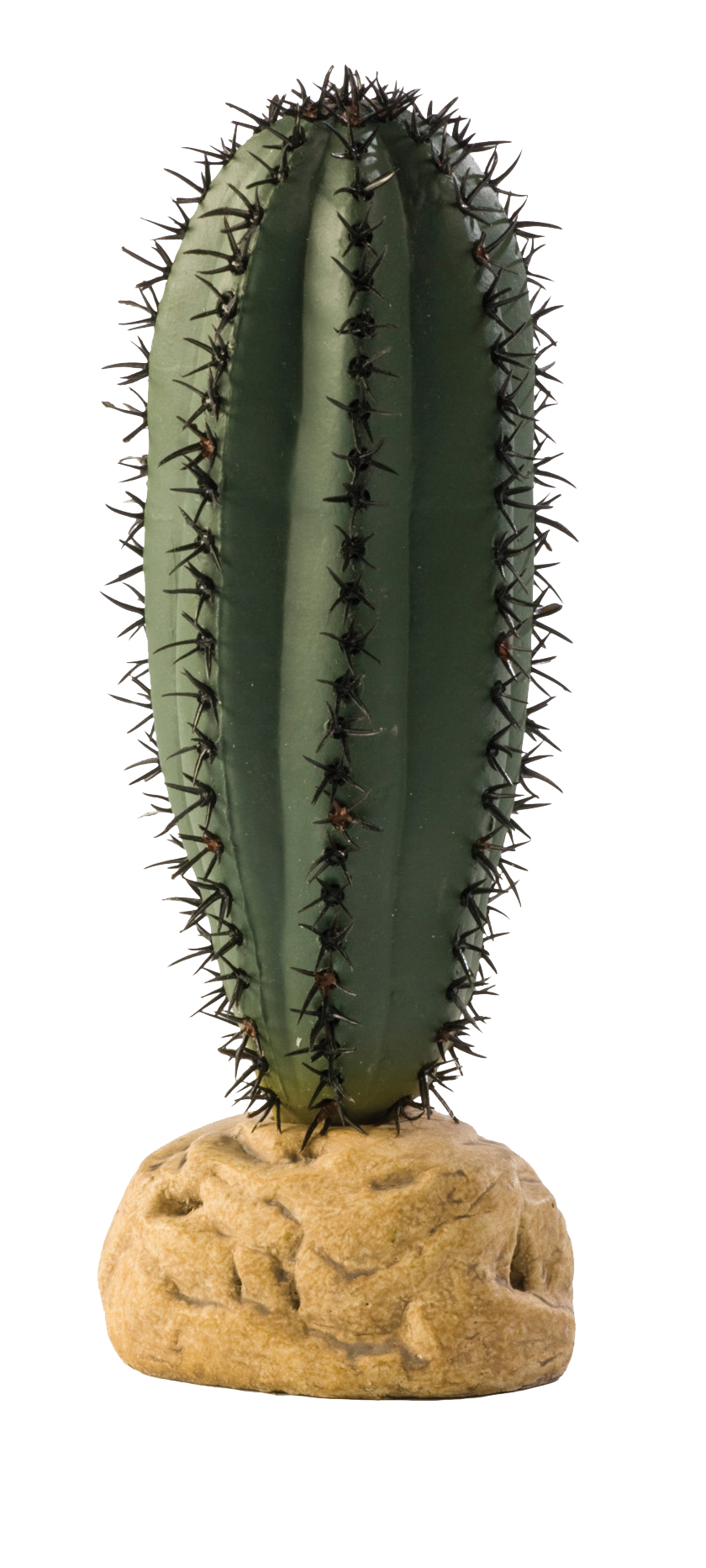 Exo Terra Saguaro Cactus 16cm Tall