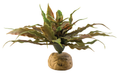 Exo Terra Star Cactus 23cm Wide