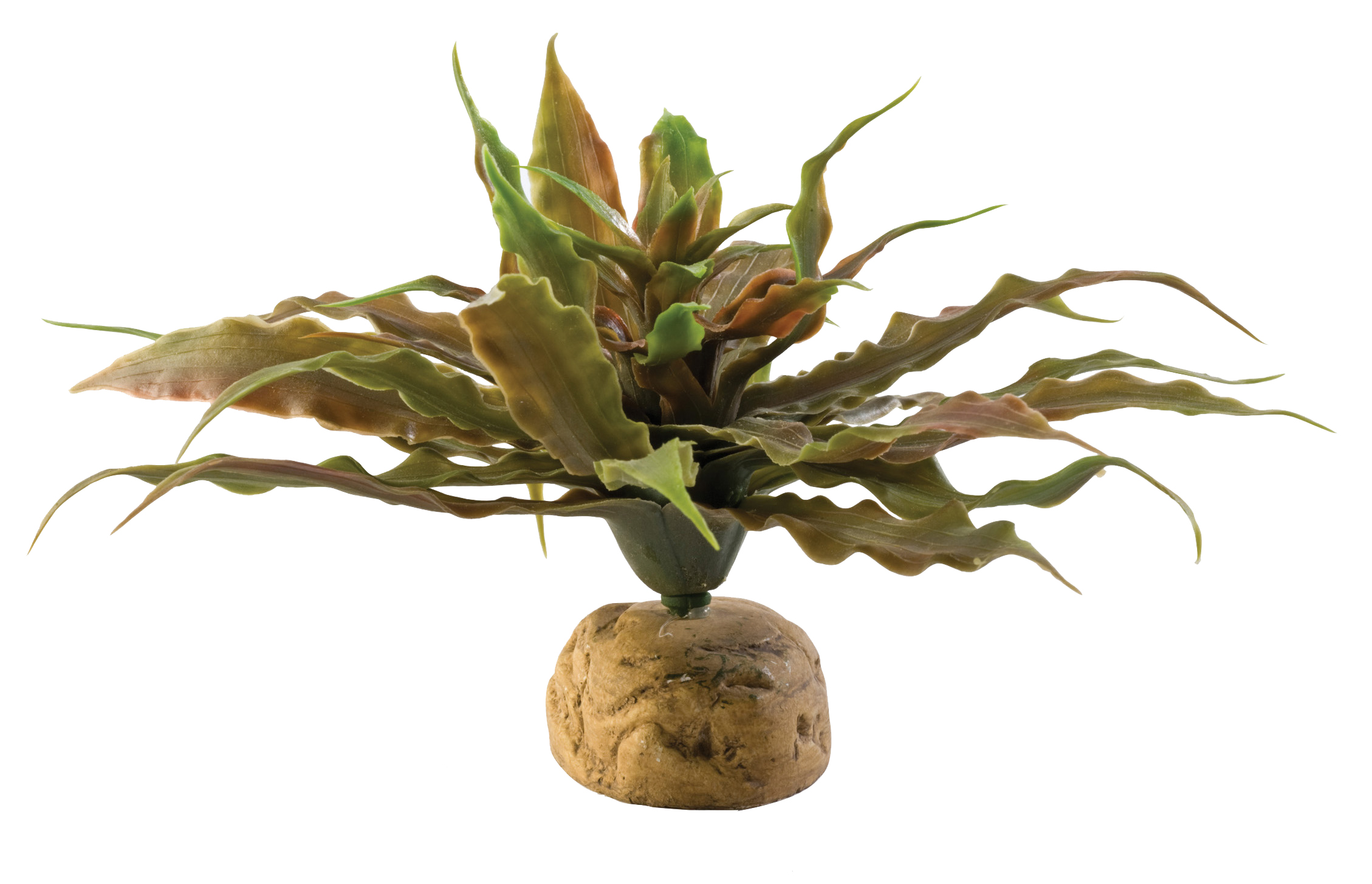 Exo Terra Star Cactus 23cm Wide