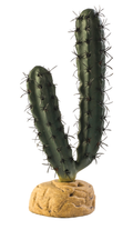 Exo Terra Finger Cactus 20cm High