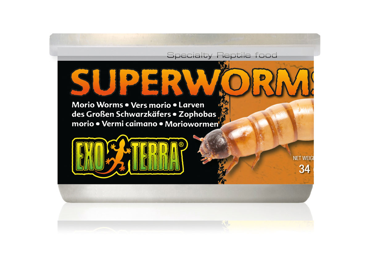 Exo Terra Canned Superworms 34gm
