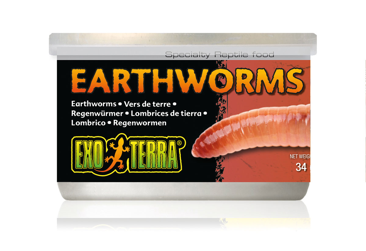 Exo Terra Canned Earthworms 34gm