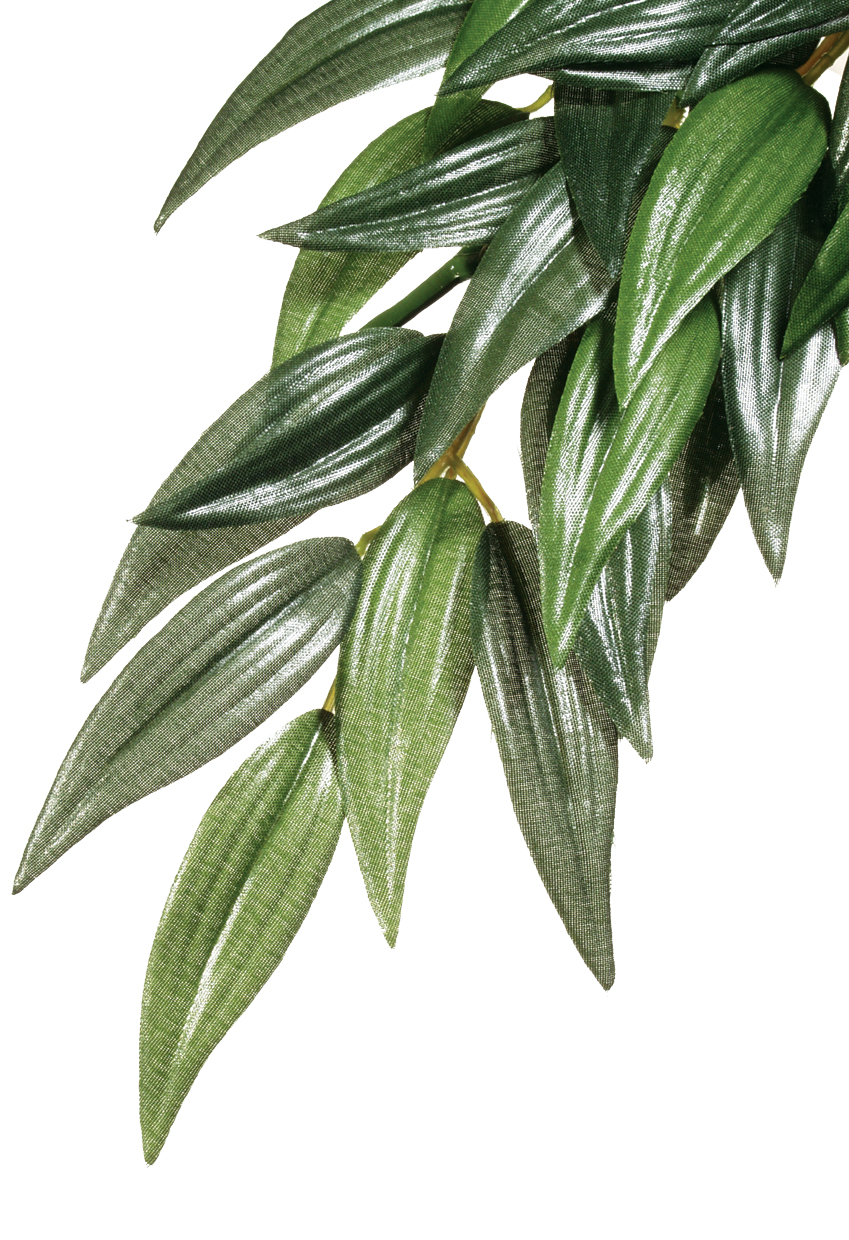 Exo Terra Forest Plant Ruscus Small