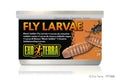 Exo Terra Black Solder Fly Larvae 34gm