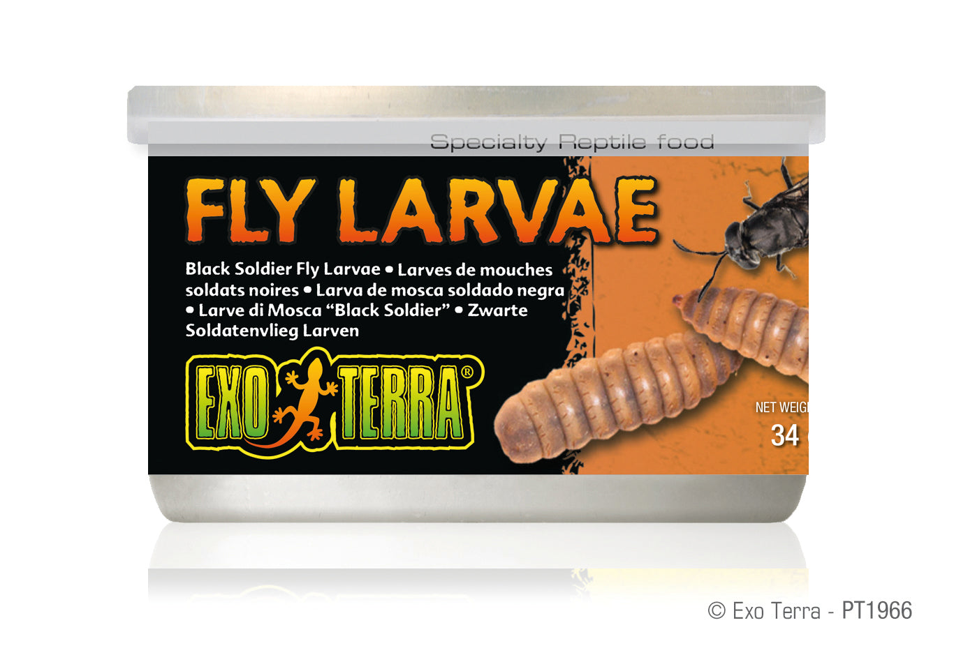 Exo Terra Black Solder Fly Larvae 34gm