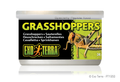 Exo Terra Wild Male Grasshoppers Small 34gm 1.2 oz