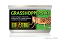 Exo Terra Wild Grasshoppers XL 34gm 1.2 oz