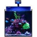 Red Sea Max nano G2 XL 125L