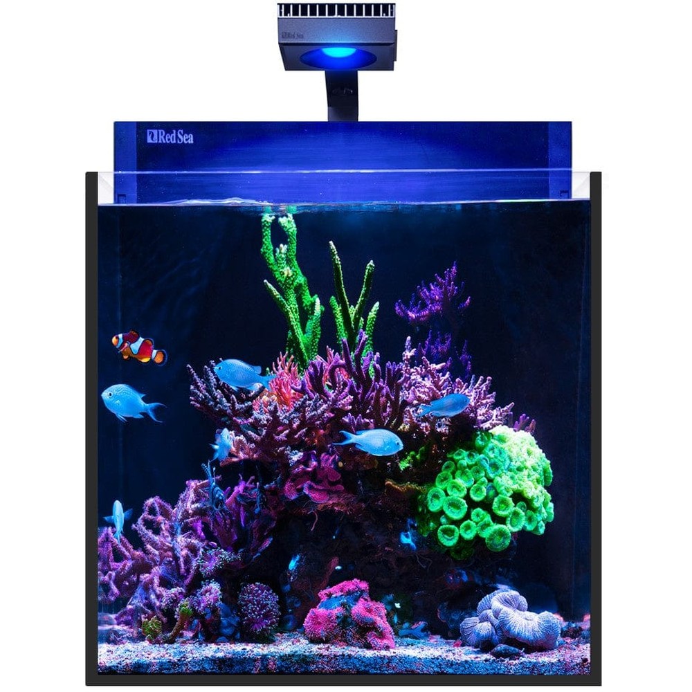 Red Sea Max nano G2 XL 125L