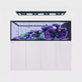 Red Sea Reefer-S Peninsula 950 G2+ White
