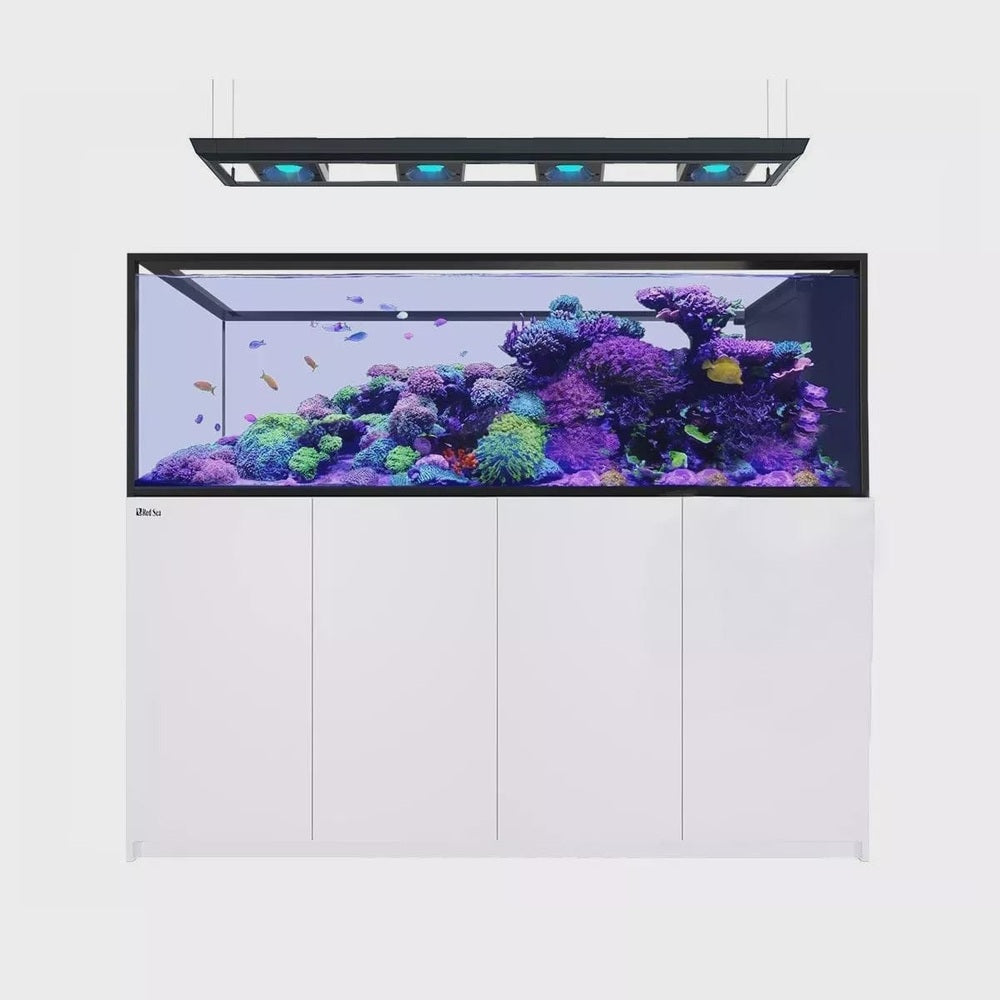 Red Sea Reefer-S Peninsula 950 G2+ White