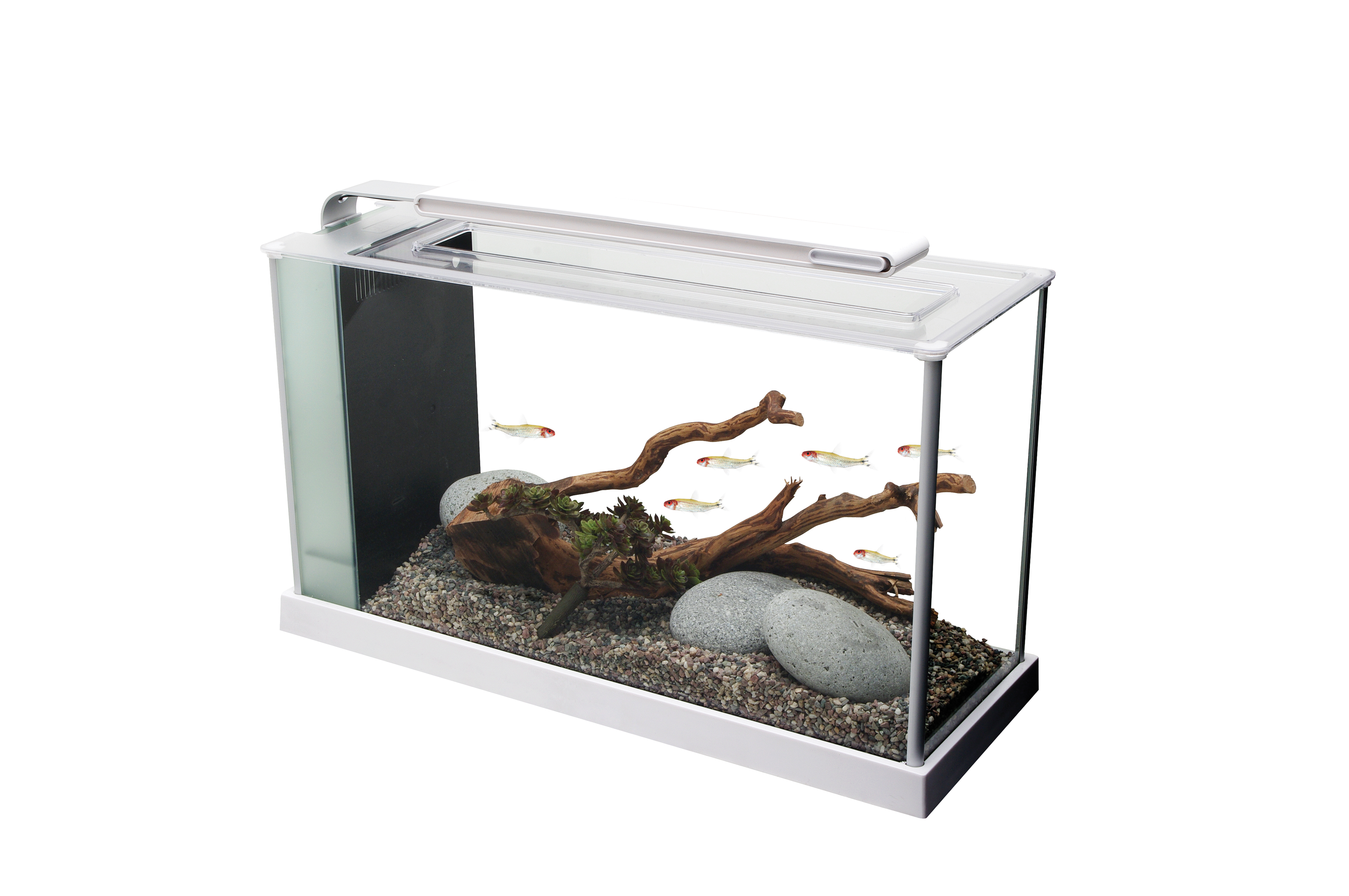 Fluval Spec Aquarium 19ltr White