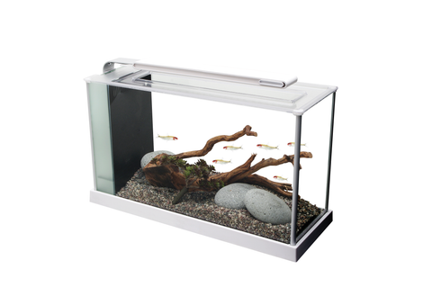 Fluval Spec Aquarium 19ltr White