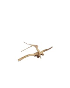 Spider Wood Small