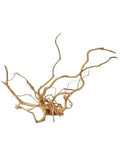 Spider Wood XLarge