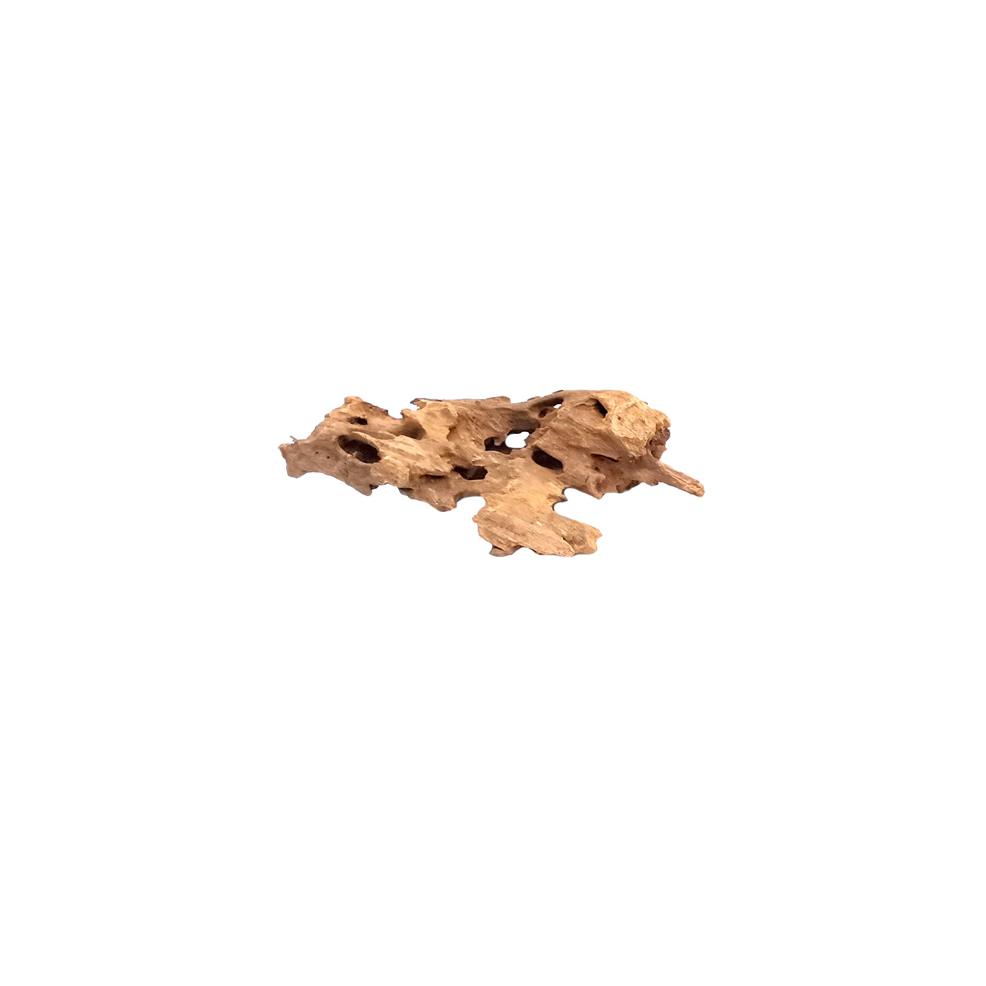 Bioscape Shrimp Wood Medium 20 - 30cm
